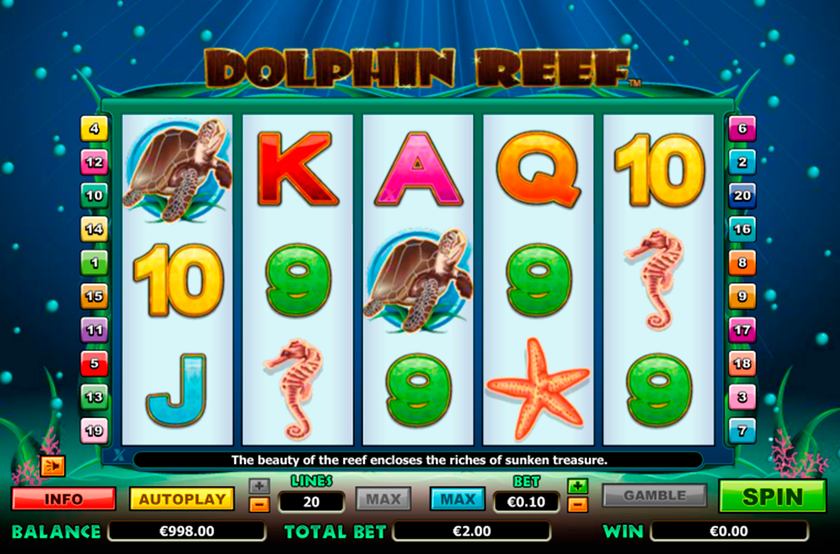 dolphin reef netgen gaming